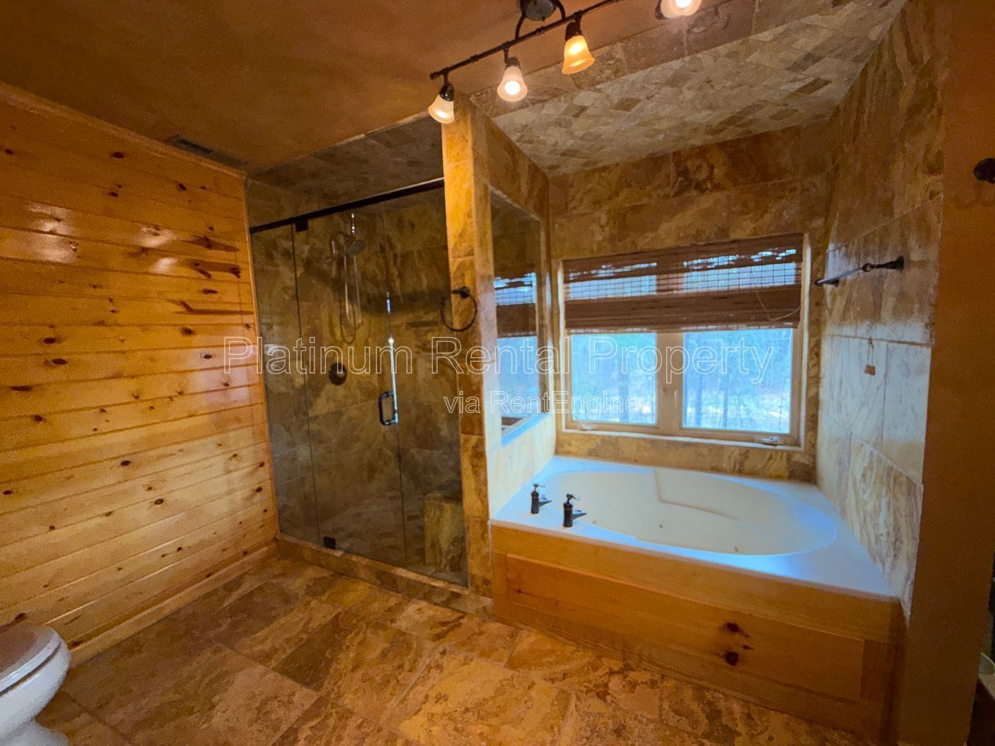 Amazing 3 bedroom home on Lake Lanier in Cumming for rent by Platinum Property Management Services, Inc. property image