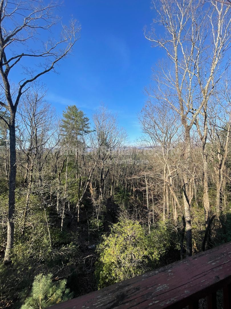 Fabulous 4-bedroom log cabin home in picturesque Dahlonega with spectacular views, by Platinum Property Management Services, Inc. property image