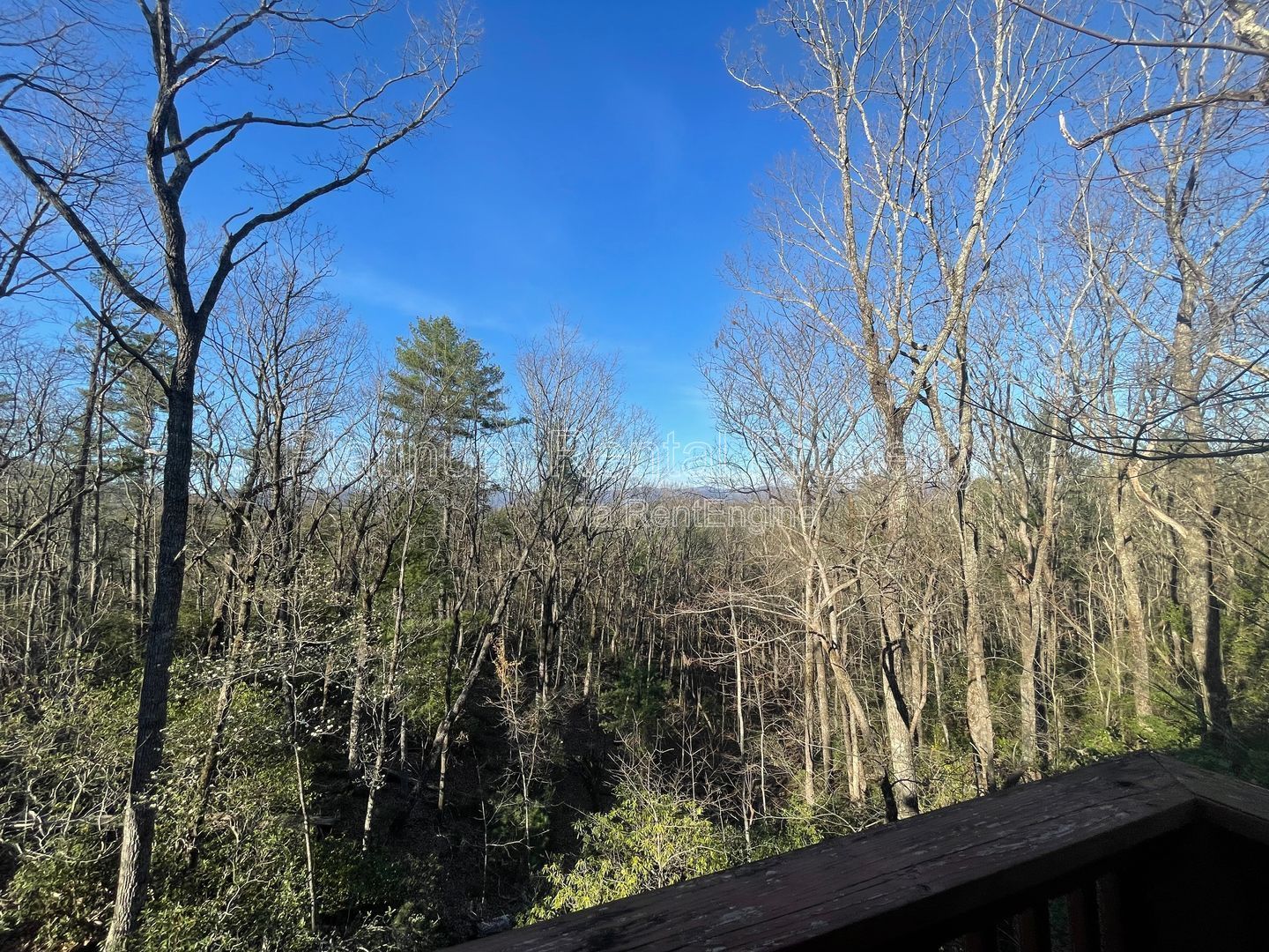 Fabulous 4-bedroom log cabin home in picturesque Dahlonega with spectacular views, by Platinum Property Management Services, Inc. property image