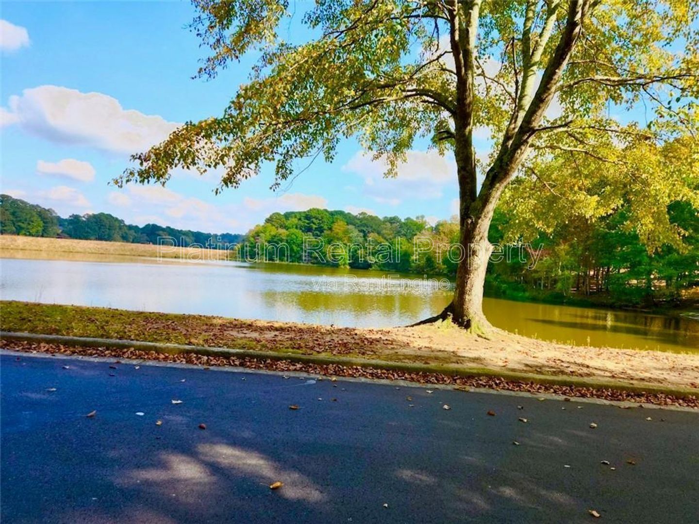 4 Bedroom Snellville Home in Summit Chase For Rent by Platinum Property Management Services, Inc. property image