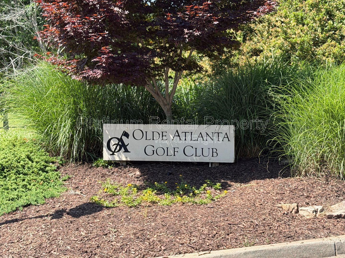 Olde Atlanta Club 4 bedroom Home for Rent in Suwanee by Platinum Property Management Services, Inc. property image