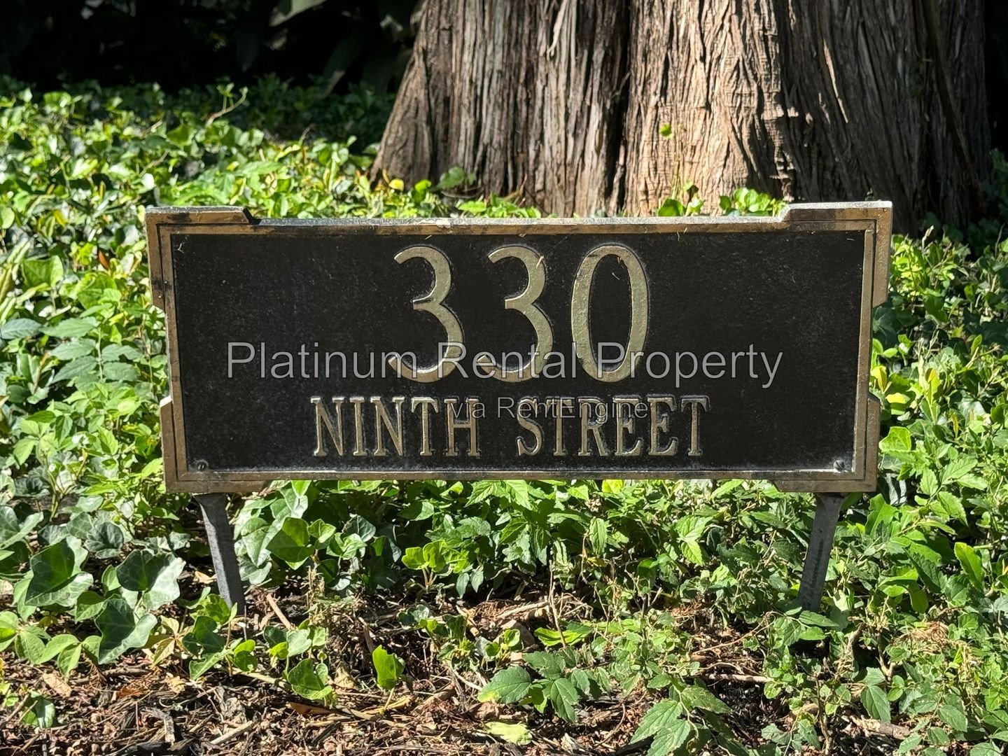 1 Bedroom condo in AMAZING midtown location by Platinum Property Management Services, Inc. property image