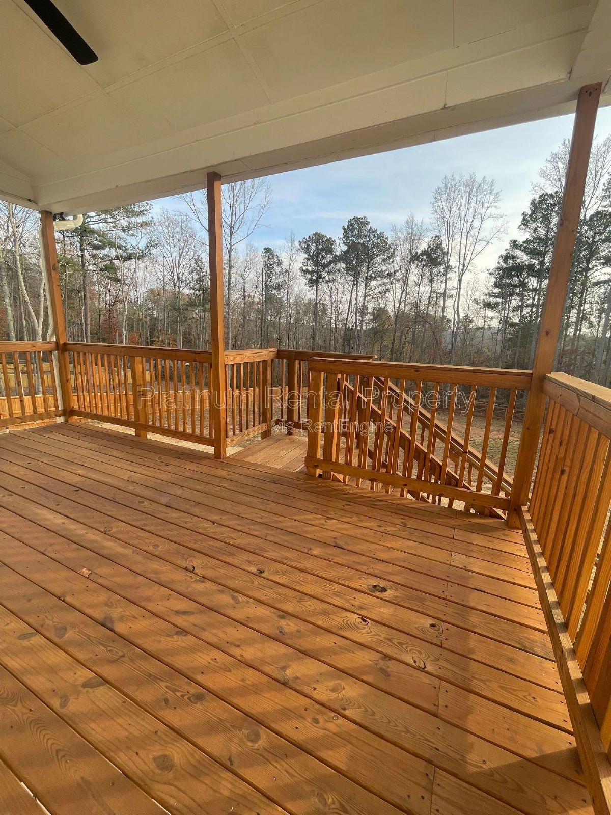 Brand new, high end, 5-bedroom, luxury home on a huge lot in desirable new construction community in west Forsyth county, by Platinum Property Management Services, Inc. property image