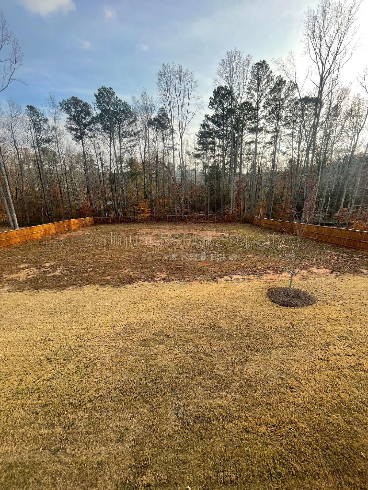 Brand new, high end, 5-bedroom, luxury home on a huge lot in desirable new construction community in west Forsyth county, by Platinum Property Management Services, Inc. property image