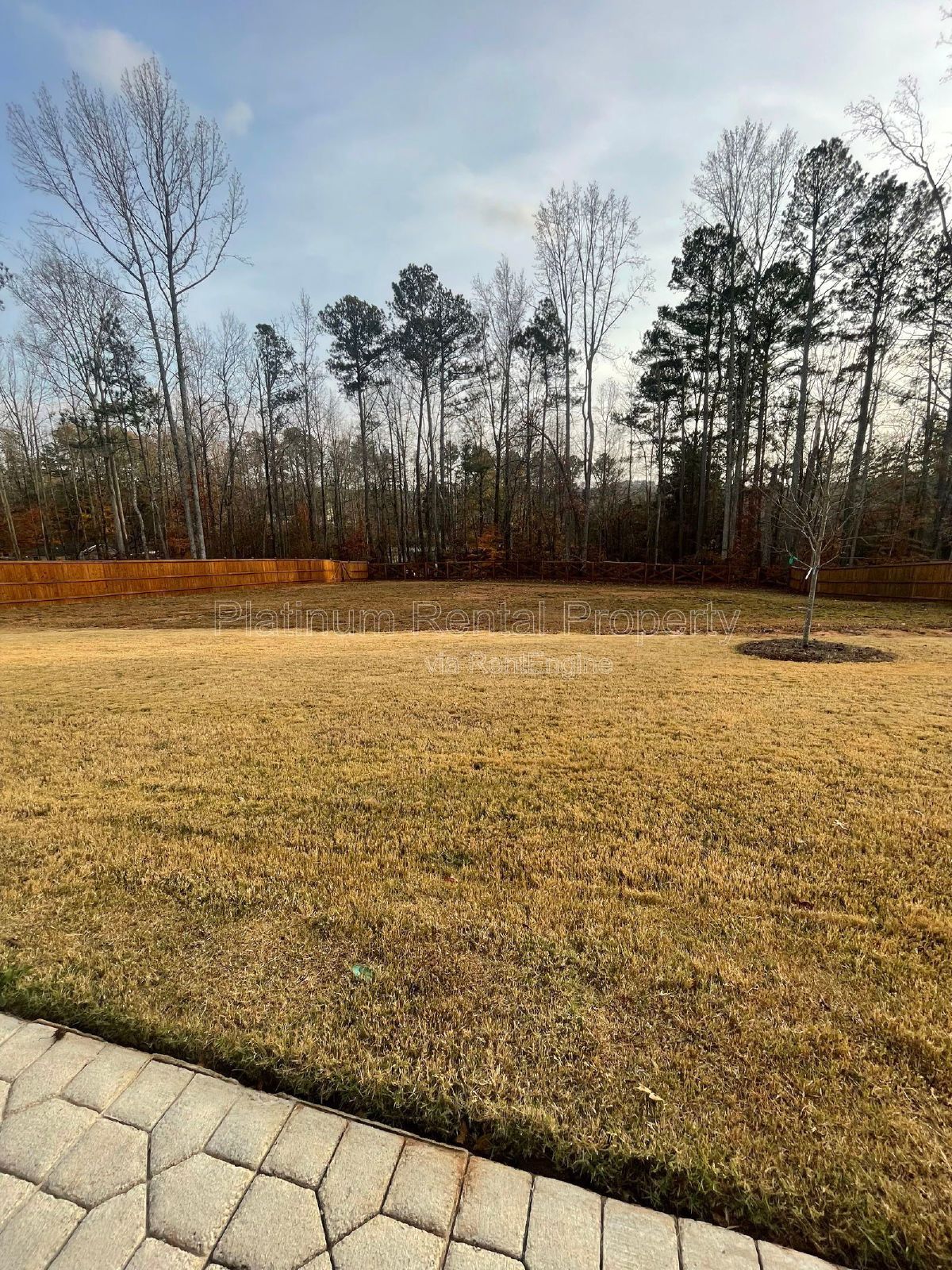 Brand new, high end, 5-bedroom, luxury home on a huge lot in desirable new construction community in west Forsyth county, by Platinum Property Management Services, Inc. property image