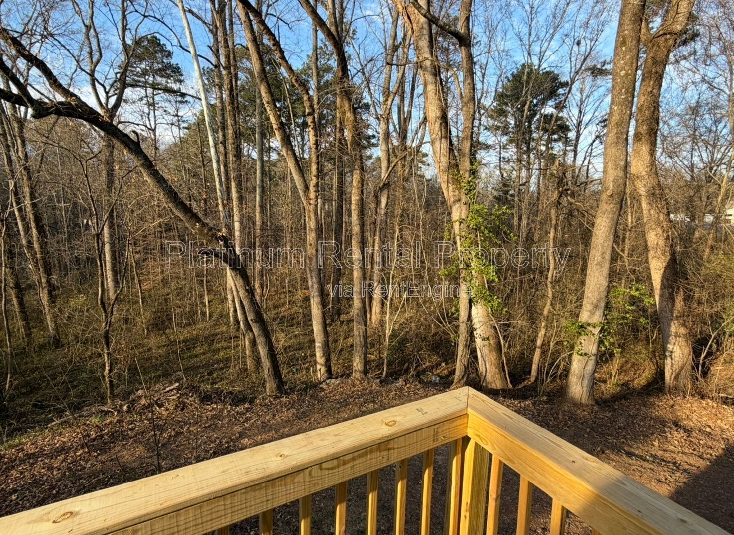 Adorable UPDATED 2 bedroom home near Downtown Cumming by Platinum Property Management Services, Inc. property image