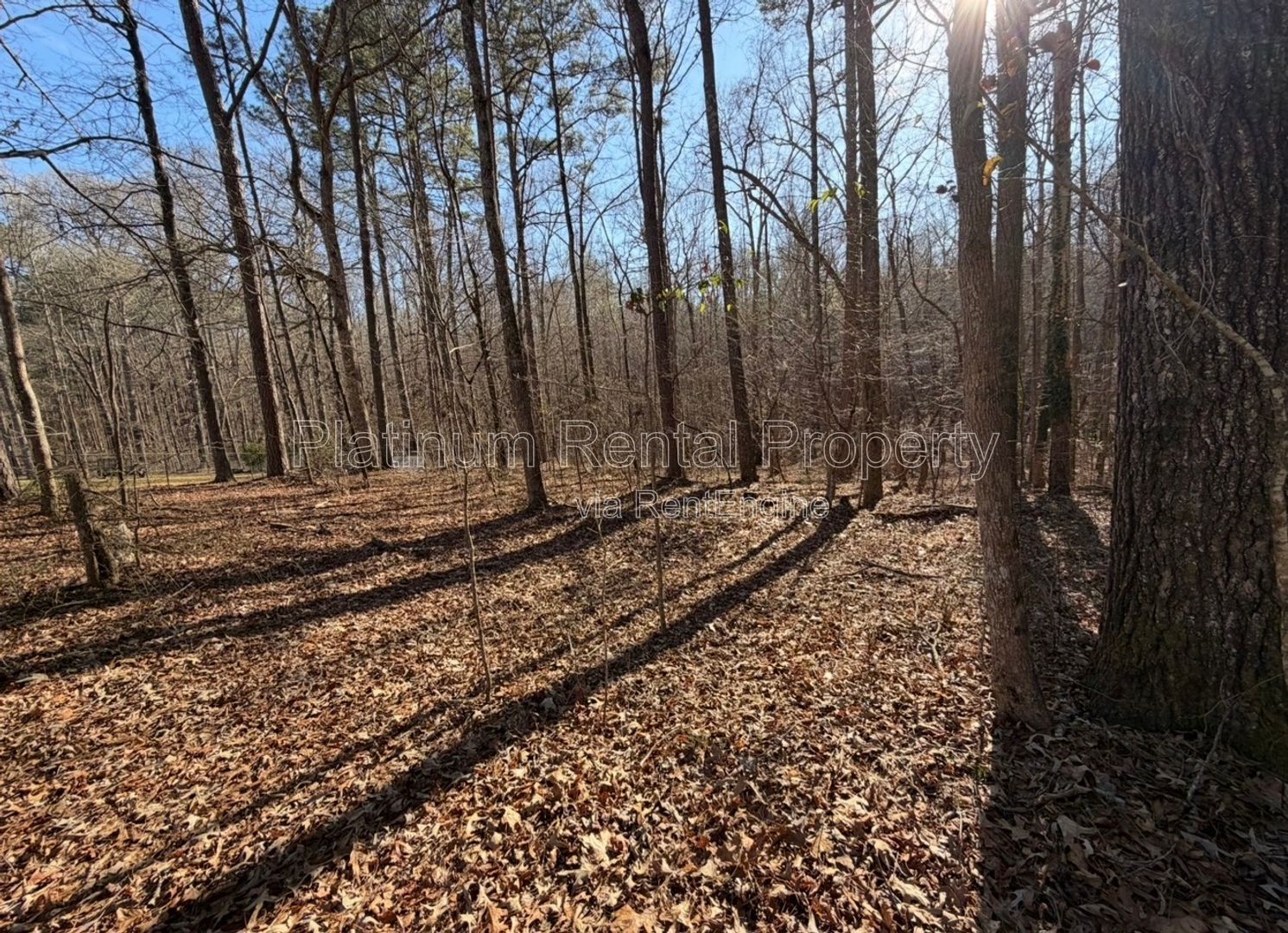 3 Bedroom Auburn Home with large lot For Rent by Platinum Property Management Services, Inc. property image